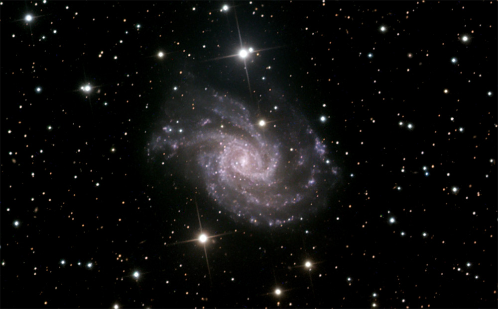 ngc-2835